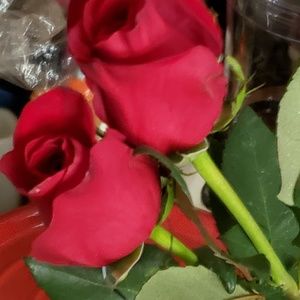 Meet your Posher, Kari